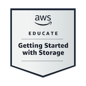 AWS Storage Badge